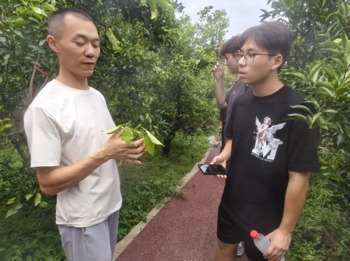 科技点亮“柑”途，无人机赋能乡村振兴——武汉学院金融与经济学院“柑行川蜀·金穗筑梦” 队调研活动纪实