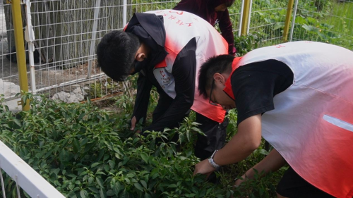 寻根铸魂助振兴 南昌职大学子“七一”东浒行