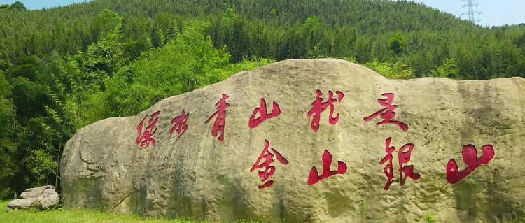 生态优投项目股赋能 志愿服务与养老金保障并行推进