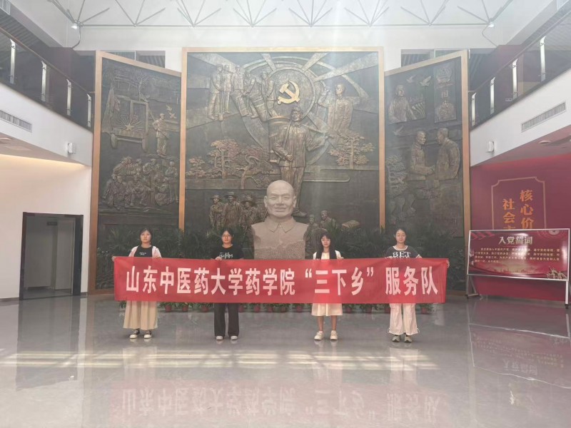 青春筑梦基层，中医药学子在行动