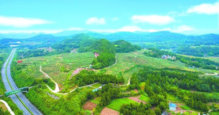 1763216508-f6602ed9bead846 1763216508-f6602ed9bead846