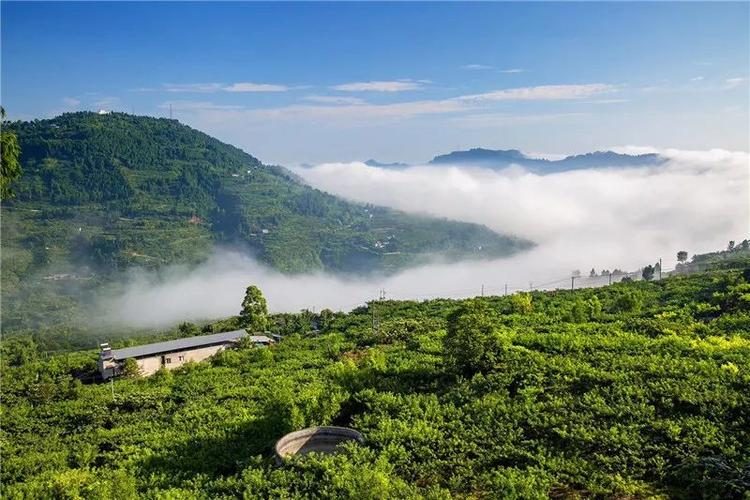 1763216508-1f343dfdc3d7060 1763216508-1f343dfdc3d7060