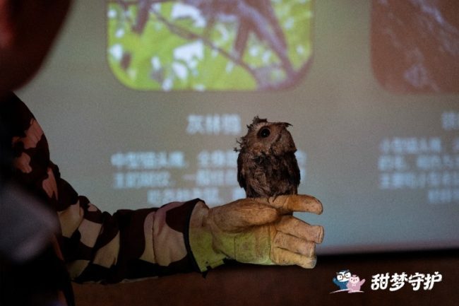 1772508814-d26aa53611c9b95