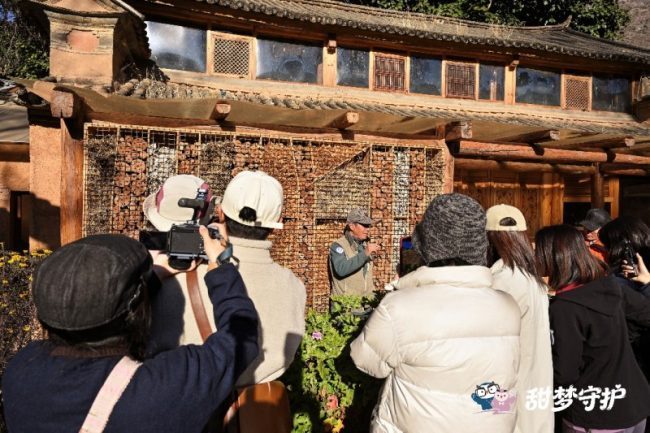 1772508817-454df4237ec26e3