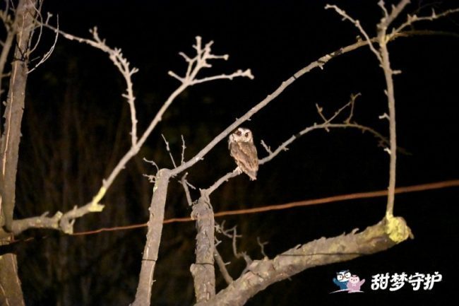 1772508817-2184d0362116cdc