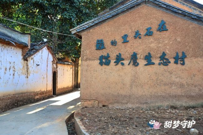 Simmons席梦思探访大理猫头鹰生态村：以行动诠释人与自然共生之美