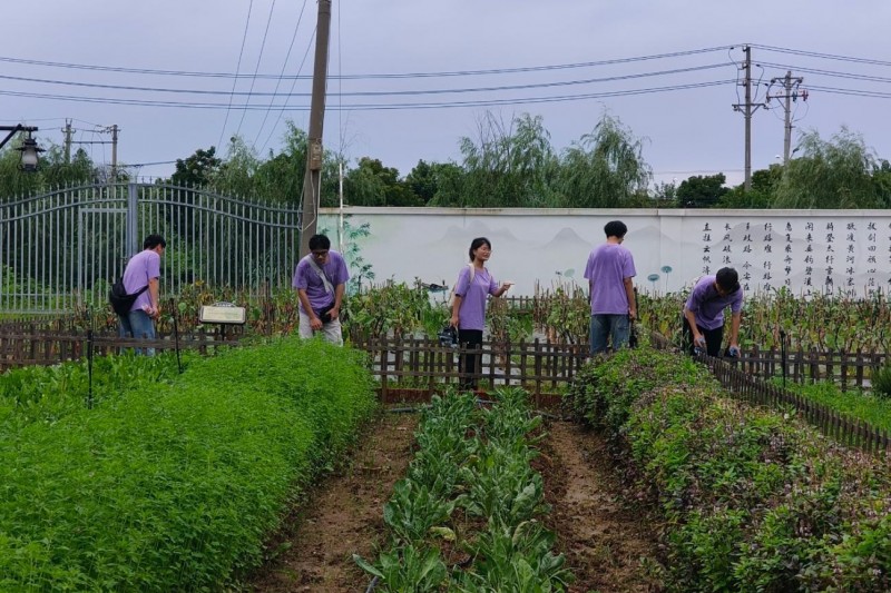 躬行荆楚寻农机发展路径 工科青年以智力兴乡村振兴