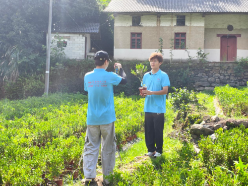 【三下乡】从“田埂”到“云端”，安庆师范大学体育与健康学院“青·行知”舞动青春·志愿家乡实践团开展创意助农活动